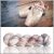 Clara crema Sock