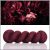 Gorgeous Garnet Crema Sock